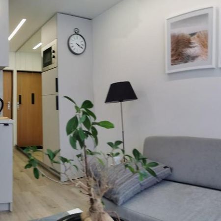 Salia Centro Apartman VNO Kültér fotó